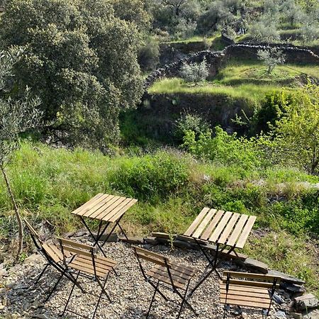 Casas Rurales Prunus Avium Caminomorisco Ngoại thất bức ảnh